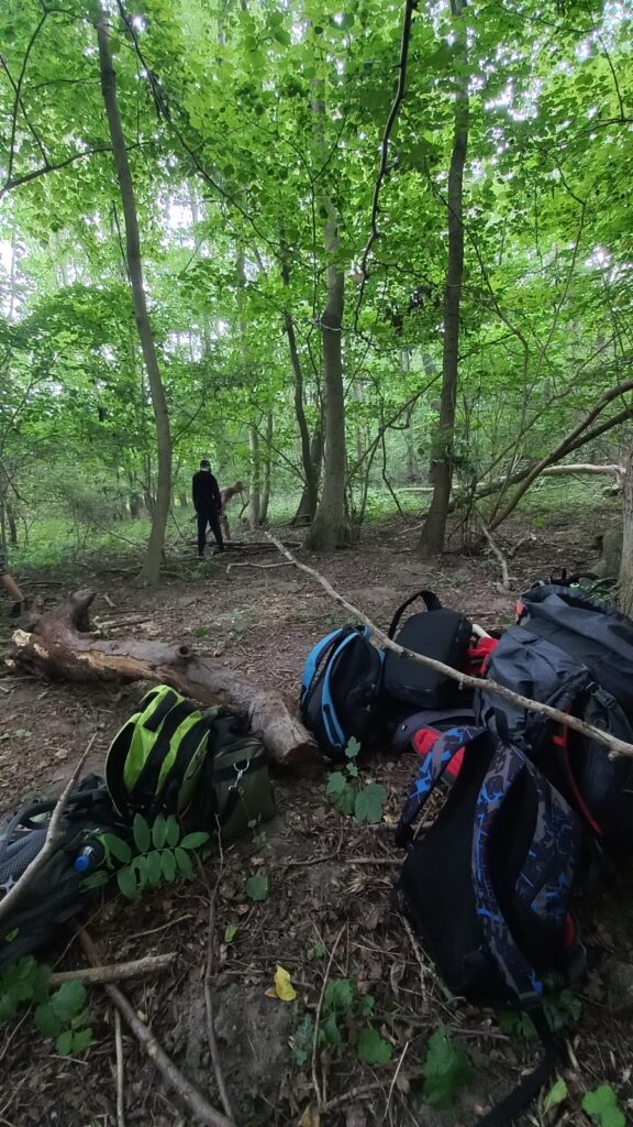 wald natura abenteuer erlebnis kinder jugendlichen rostock schule kita kindergarten klassenfahrt wandertag ausflug wandertage ausflüge schnitzen übernachtung waldvorschule naturforscher nachmittagsgruppe hobby freie spielen lernen survival bushcraft achsamkeit baum entdeckung mecklenburg-vorpommen wildnis wildnispädagogie teambuilding spaß