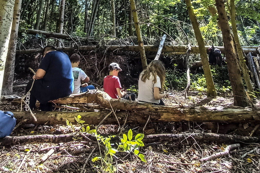 wald natura abenteuer erlebnis kinder jugendlichen rostock schule kita kindergarten klassenfahrt wandertag ausflug wandertage ausflüge schnitzen übernachtung waldvorschule naturforscher nachmittagsgruppe hobby freie spielen lernen survival bushcraft achsamkeit baum entdeckung mecklenburg-vorpommen wildnis wildnispädagogie teambuilding spaß