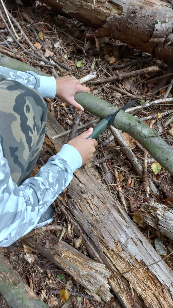 wald natura abenteuer erlebnis kinder jugendlichen rostock schule kita kindergarten klassenfahrt wandertag ausflug wandertage ausflüge schnitzen übernachtung waldvorschule naturforscher nachmittagsgruppe hobby freie spielen lernen survival bushcraft achsamkeit baum entdeckung mecklenburg-vorpommen wildnis wildnispädagogie teambuilding spaß