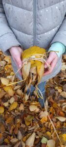 wald natura abenteuer erlebnis kinder jugendlichen rostock schule kita kindergarten klassenfahrt wandertag ausflug wandertage ausflüge schnitzen übernachtung waldvorschule naturforscher nachmittagsgruppe hobby freie spielen lernen survival bushcraft achsamkeit baum entdeckung mecklenburg-vorpommen wildnis wildnispädagogie teambuilding spaß