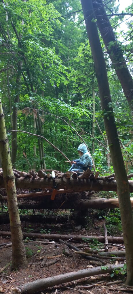 wald natura abenteuer erlebnis kinder jugendlichen rostock schule kita kindergarten klassenfahrt wandertag ausflug wandertage ausflüge schnitzen übernachtung waldvorschule naturforscher nachmittagsgruppe hobby freie spielen lernen survival bushcraft achsamkeit baum entdeckung mecklenburg-vorpommen wildnis wildnispädagogie teambuilding spaß