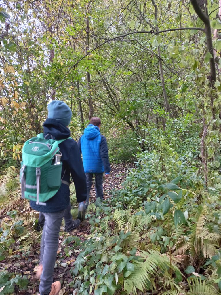 wald natura abenteuer erlebnis kinder jugendlichen rostock schule kita kindergarten klassenfahrt wandertag ausflug wandertage ausflüge schnitzen übernachtung waldvorschule naturforscher nachmittagsgruppe hobby freie spielen lernen survival bushcraft achsamkeit baum entdeckung mecklenburg-vorpommen wildnis wildnispädagogie teambuilding spaß