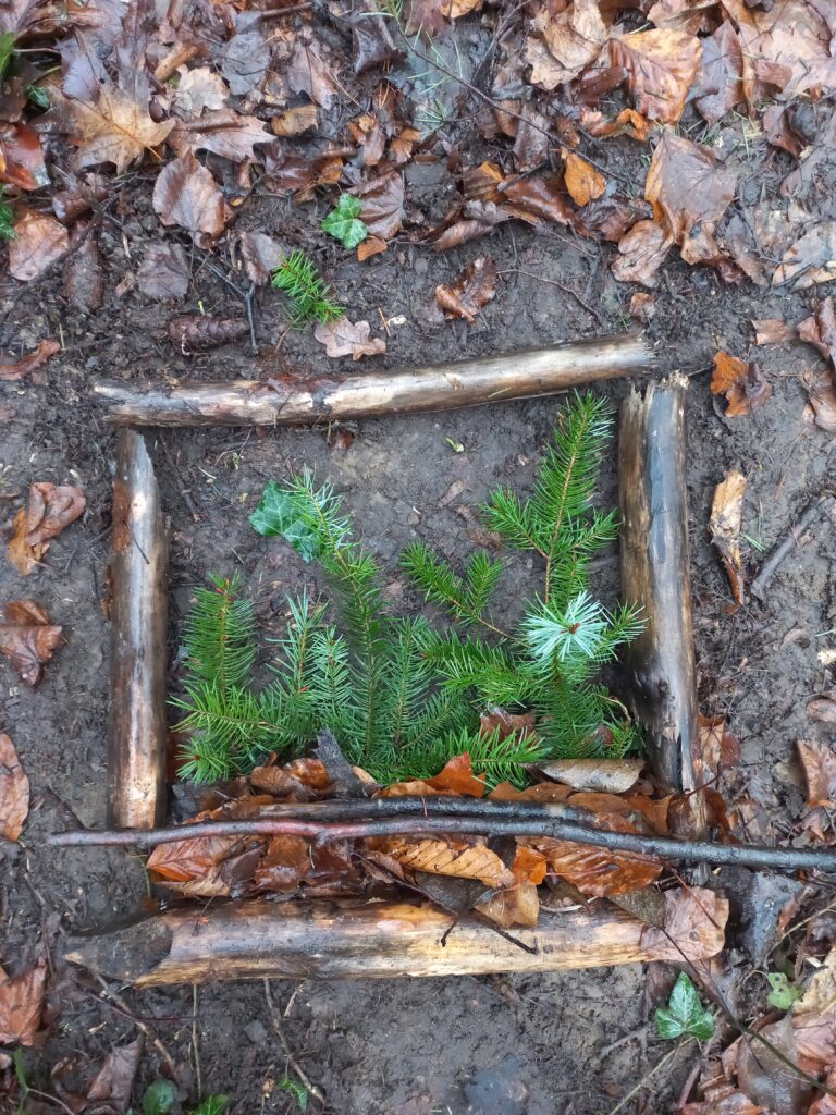 wald natura abenteuer erlebnis kinder jugendlichen rostock schule kita kindergarten klassenfahrt wandertag ausflug wandertage ausflüge schnitzen übernachtung waldvorschule naturforscher nachmittagsgruppe hobby freie spielen lernen survival bushcraft achsamkeit baum entdeckung mecklenburg-vorpommen wildnis wildnispädagogie teambuilding spaß