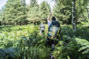 wald natura abenteuer erlebnis kinder jugendlichen rostock schule kita kindergarten klassenfahrt wandertag ausflug wandertage ausflüge schnitzen übernachtung waldvorschule naturforscher nachmittagsgruppe hobby freie spielen lernen survival bushcraft achsamkeit baum entdeckung mecklenburg-vorpommen wildnis wildnispädagogie teambuilding spaß