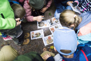 wald natura abenteuer erlebnis kinder jugendlichen rostock schule kita kindergarten klassenfahrt wandertag ausflug wandertage ausflüge schnitzen übernachtung waldvorschule naturforscher nachmittagsgruppe hobby freie spielen lernen survival bushcraft achsamkeit baum entdeckung mecklenburg-vorpommen wildnis wildnispädagogie teambuilding spaß