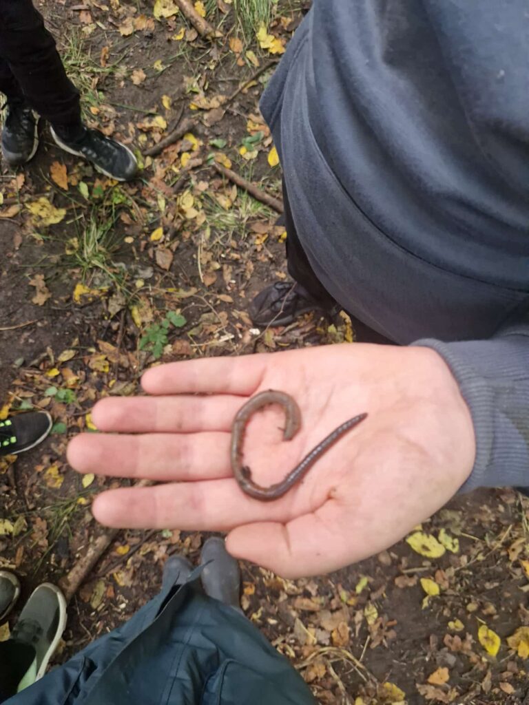 wald natura abenteuer erlebnis kinder jugendlichen rostock schule kita kindergarten klassenfahrt wandertag ausflug wandertage ausflüge schnitzen übernachtung waldvorschule naturforscher nachmittagsgruppe hobby freie spielen lernen survival bushcraft achsamkeit baum entdeckung mecklenburg-vorpommen wildnis wildnispädagogie teambuilding spaß